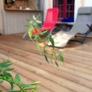 terrasse en bois massif